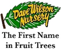 Dave Wilson Nursery -- Fruit, Nut, & Shade Trees  