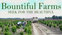 Bountiful Farms -- unique & stunning plant material  