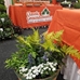 Our Trade Show Profile / Exhibitor Showcase - Classic-Groundcovers-TS1