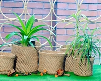Creation Jute USA -- Gardening Bags, Products 