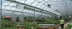 Harnois Greenhouses:  Luminosa Greenhouse Series - 