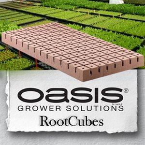 Oasis Grower Solutions -- Smithers 