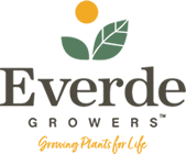 Everde Growers:<br>formerly TreeTown USA -- Village Nurseries/Hines Growers 