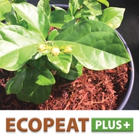 Lambert: EcoPeatPlus+ (Wood Fiber) – Grower Friendly! 