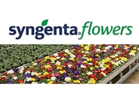 Syngenta Flowers North America 