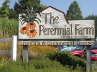 The Perennial Farm  