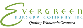 Evergreen Nursery Company