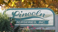 Lincoln Nurseries -- wholesale grower 