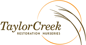 Taylor Creek Restoration Nurseries
