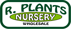 R Plants Nursery