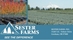 Sester Farms -- Oregon Grown Nursery Stock - 